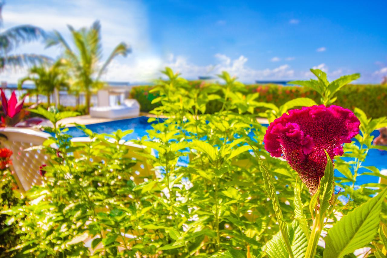 Hotel Aria Manzanillo Cartagena エクステリア 写真